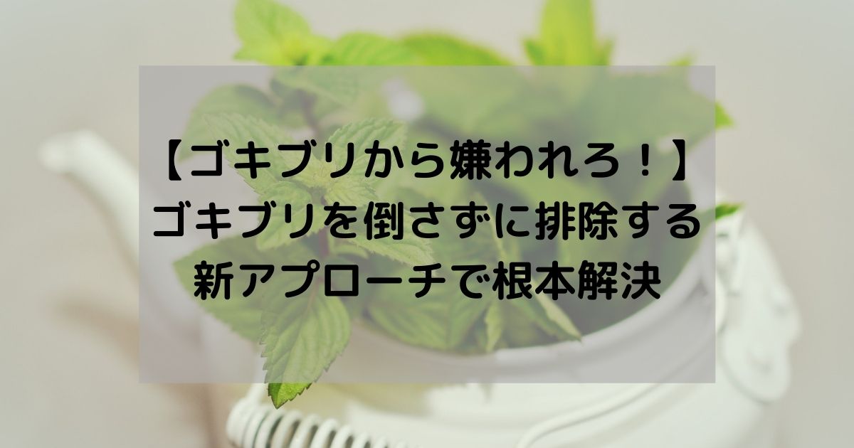 【根本課題にアプローチ】効果バツグンのゴキブリ対策を共有しとくよ