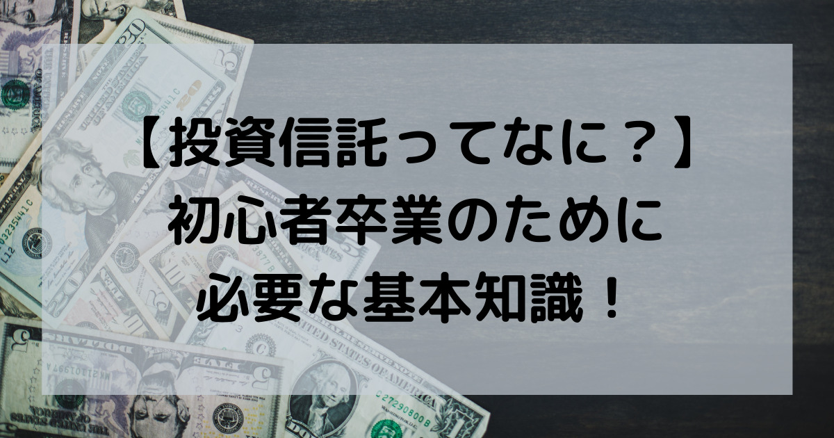 【初心者からの卒業!】今さら聞けない投資信託のキホンを共有しとくよ